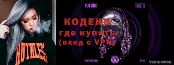 ешки Корсаков