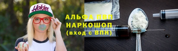 ешки Корсаков