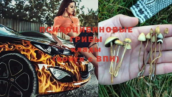 ешки Корсаков