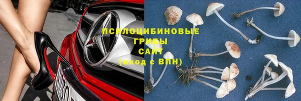 хмурый Козловка