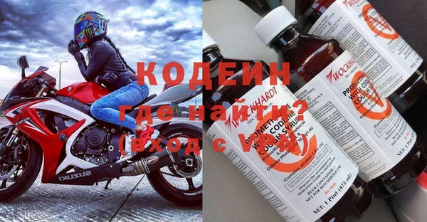 ешки Корсаков