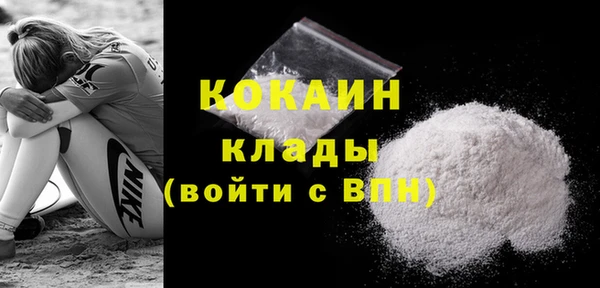 ешки Корсаков