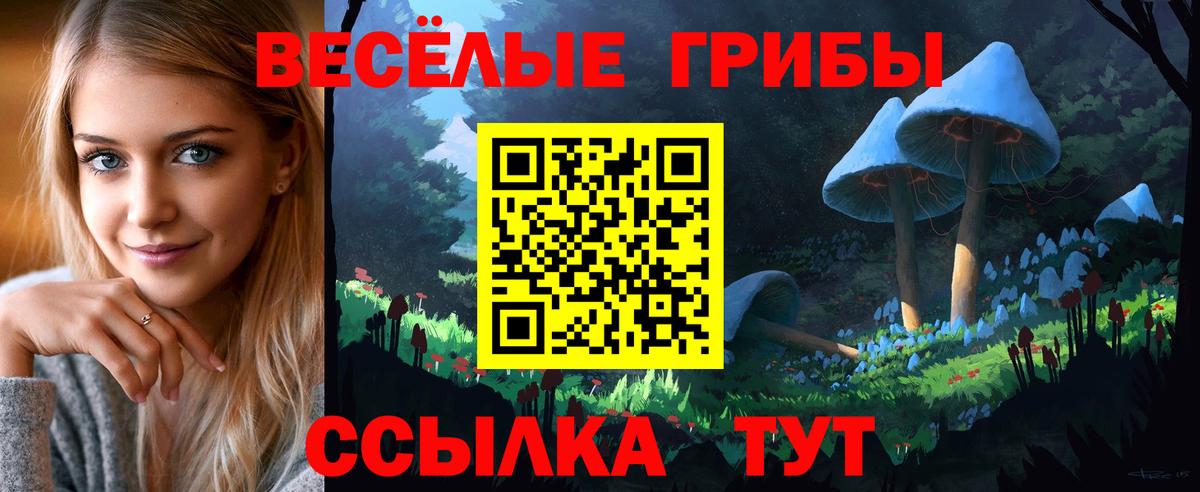 Галлюциногенные грибы GOLDEN TEACHER  Вход с VPN  Галлюциногенные грибы Psilocybine cubensis  Лабинск 