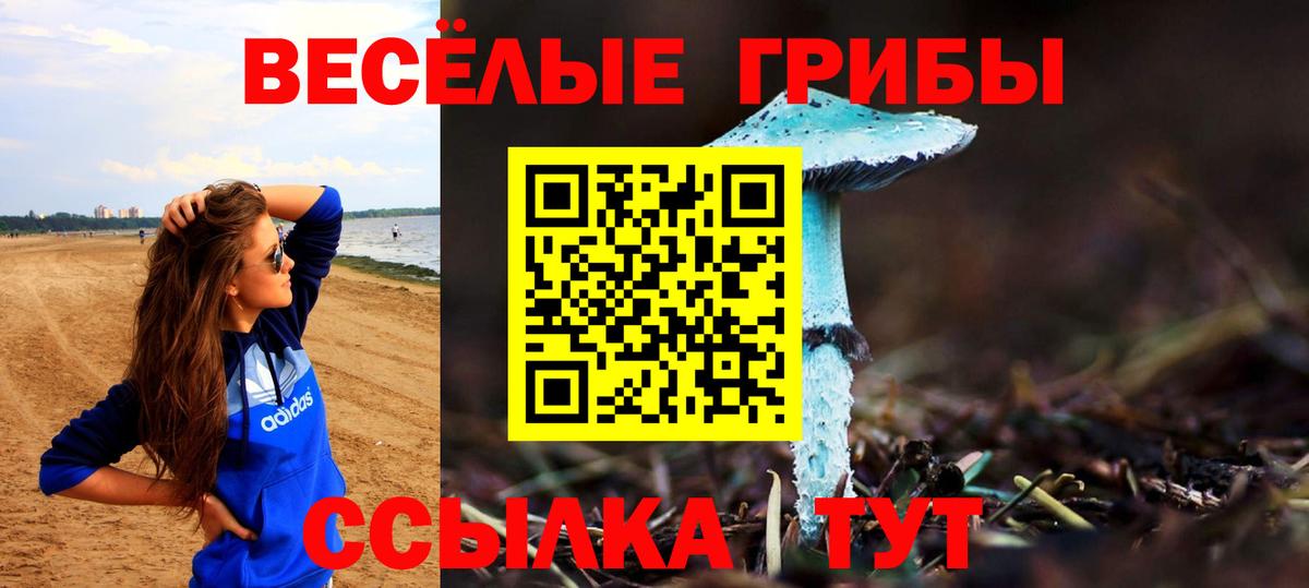 Галлюциногенные грибы мицелий Лабинск